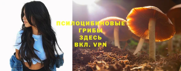 ALPHA PVP Дрезна