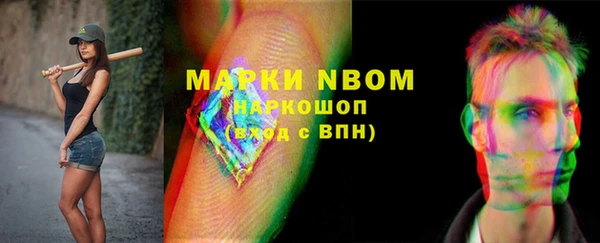 шишки Верхний Тагил