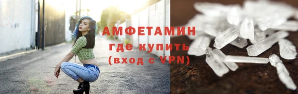 шишки Верхний Тагил