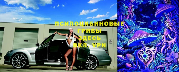 шишки Верхний Тагил