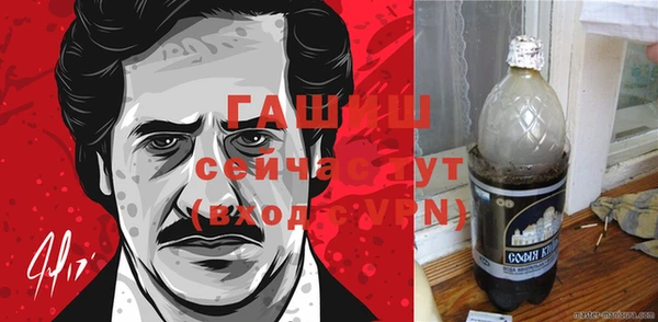 шишки Верхний Тагил